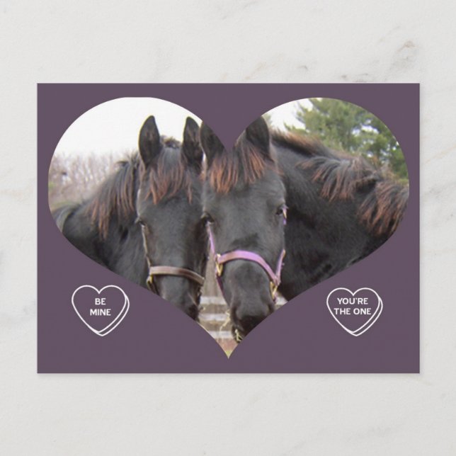 TWIN HORSES VALENTINE HOLIDAY POSTCARD (Front)