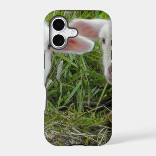 Twin Lamb Baby Animal Thinking Of You