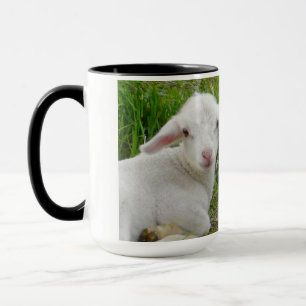 Twin Lamb Baby Animal Thinking Of You Mug