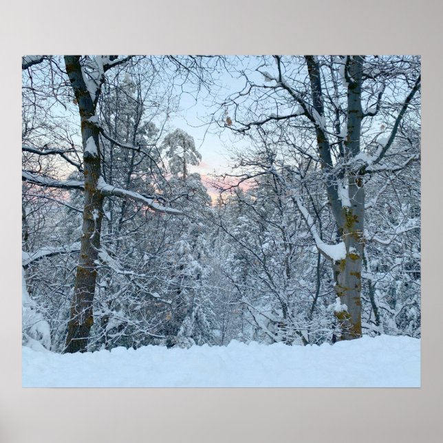 Twin Peaks Snow on Trees Poster (Front)