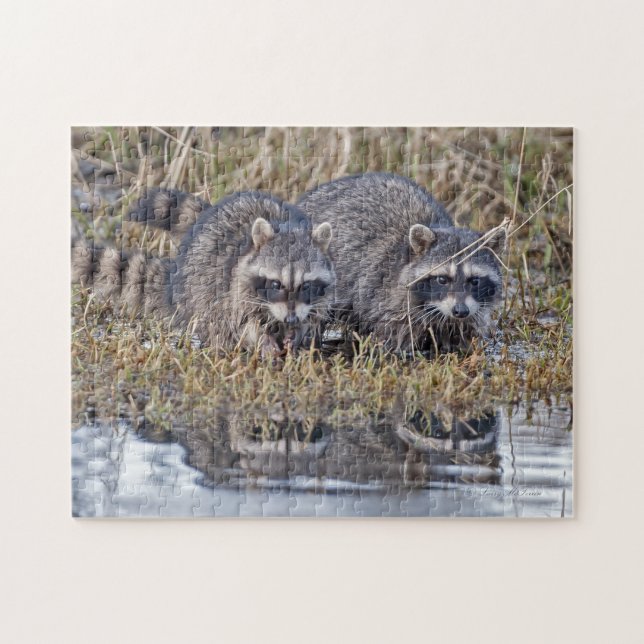 Twin Raccoons Jigsaw Puzzle (Horizontal)