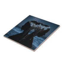 Twin Souls Beneath the Stars