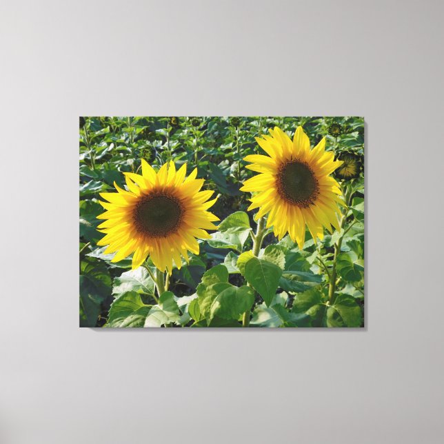 Twin Sunflowers Wrapped Canvas Print (Front)