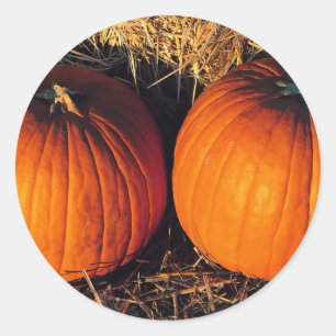Twin Vintage Pumpkins Classic Round Sticker