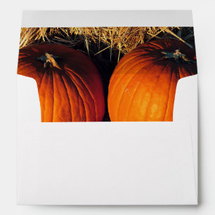 Twin Vintage Pumpkins Envelope