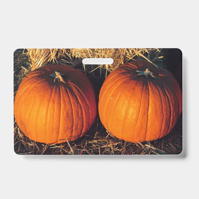 Twin Vintage Pumpkins  ID Badge (Front)