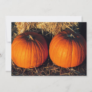 Twin Vintage Pumpkins Invitation
