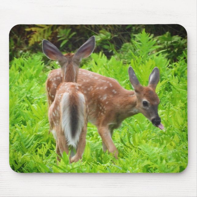 Twin White Tail Deer Fawns Mouse Pad (Front)