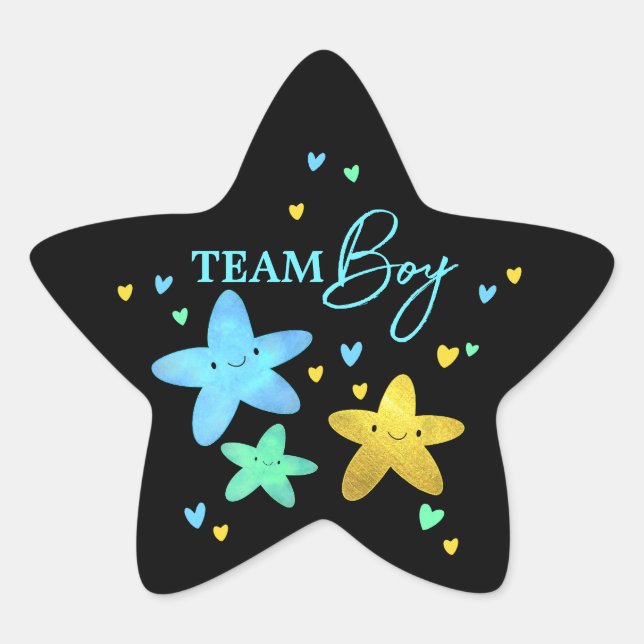 Twinkle Little Star Gender Reveal Team Boy Star St Star Sticker (Front)