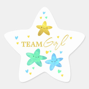 Twinkle Little Star Gender Reveal Team Girl Sticker