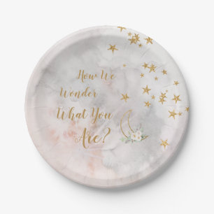Twinkle Little Star Plates Gender Reveal Baby