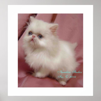 TWINKLE LITTLE STAR POSTER