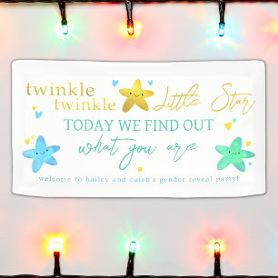 Twinkle Twinkle Little Star Gender Reveal Banner