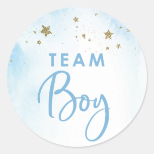 Twinkle Twinkler Gender Reveal Stickers Team Boy