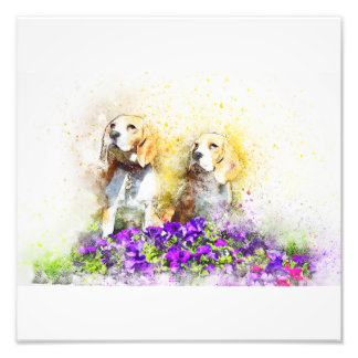 Twins Dogs Photo Print