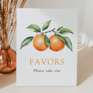 Twins Orange Baby Shower Favours Sign
