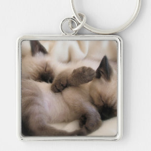 Twins Pet Cat Cute Siamese Kitten Key Ring