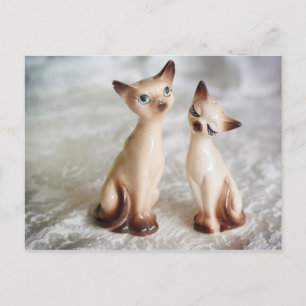 twins postcard