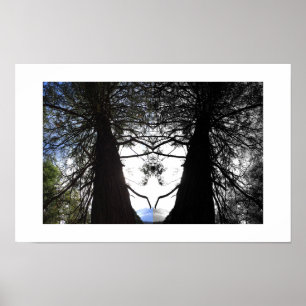 Twisted Branches Yosemite Reflection Photography Poster