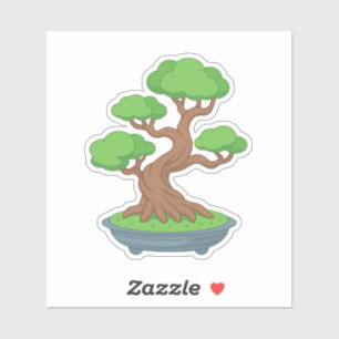 Twisted Japanese Bonsai Tree