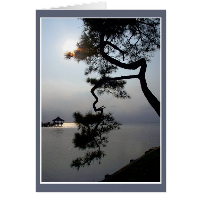 Twisted Pine (Front)