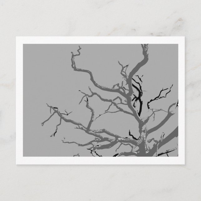 Twisted  postcard (Front)