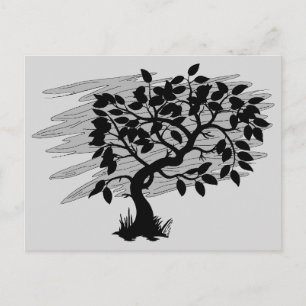 Twisted Sapling Postcard