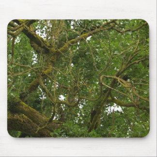 Twisted Tree Mouse Pad