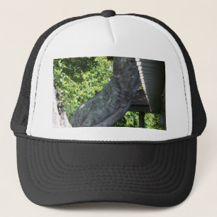 twisted tree trunk trucker hat