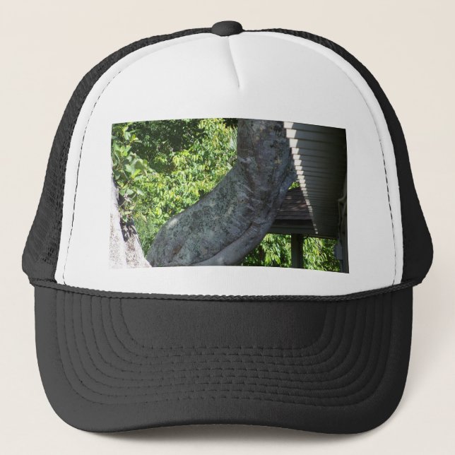 twisted tree trunk trucker hat (Front)
