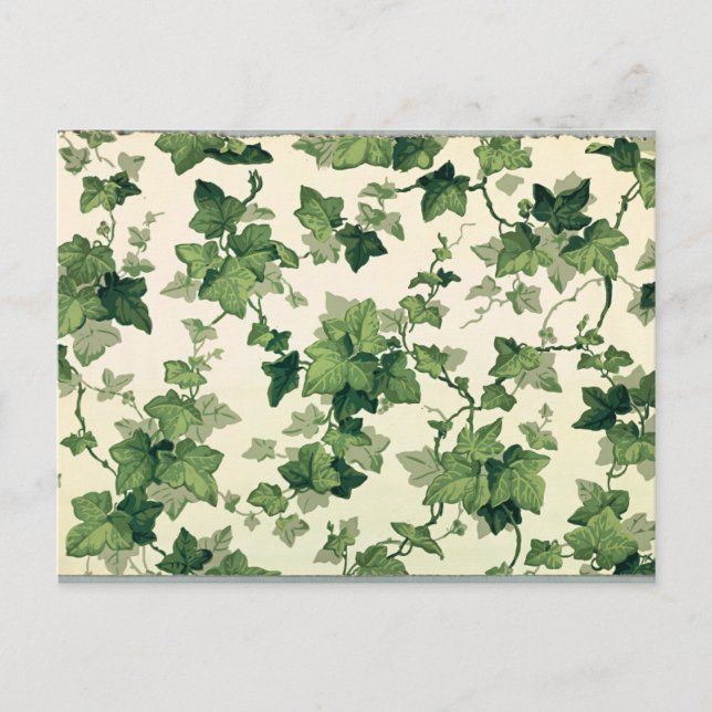 Twisting Ivy Leaves Pattern Postcard (Front)