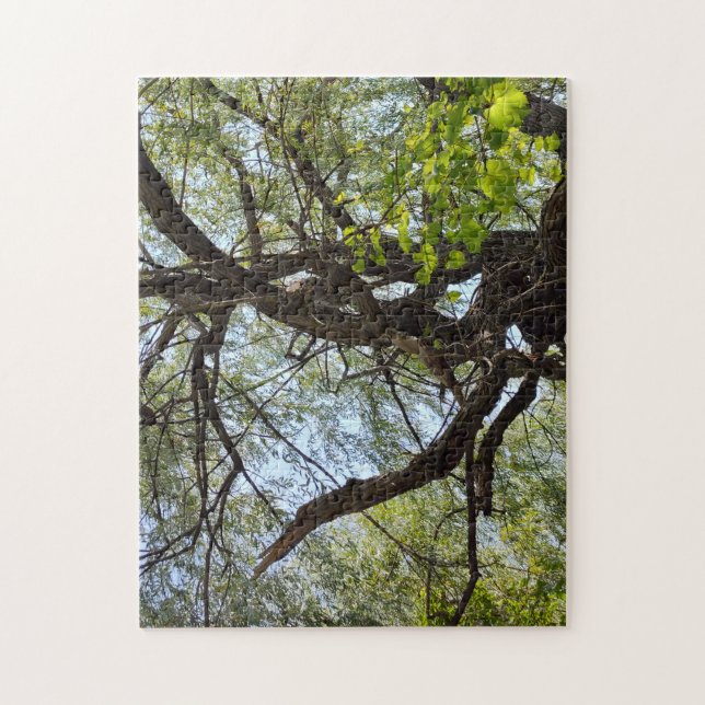 Twists and Curved Willow Tree Jigsaw Puzzle (Vertical)