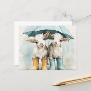 Two Adorable Baby Goats on a Rainy Day Postcard
