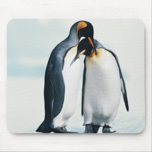 Two affectionate penguins mouse pad