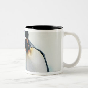 Two affectionate penguins Two-Tone coffee mug