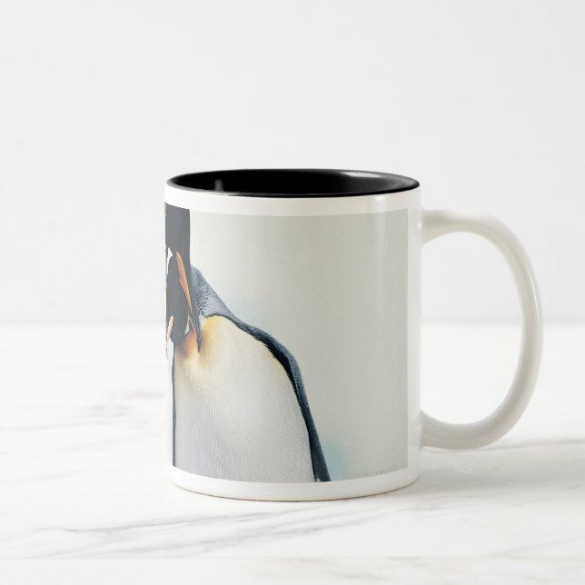 Two affectionate penguins Two-Tone coffee mug (Right)
