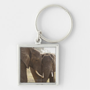 Two African Bush Elephants (Loxodonta Africana) Key Ring