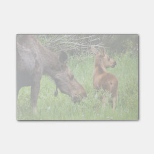 Two Alert Moose Mother And Baby Post-it Notes