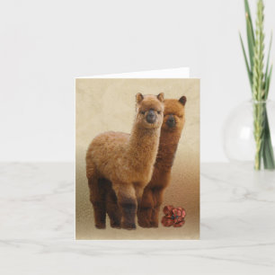 Two Alpacas Note Card