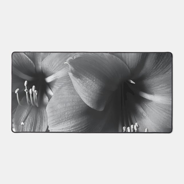 Two Amaryllis Flowers Photo Desk Mat (Front)