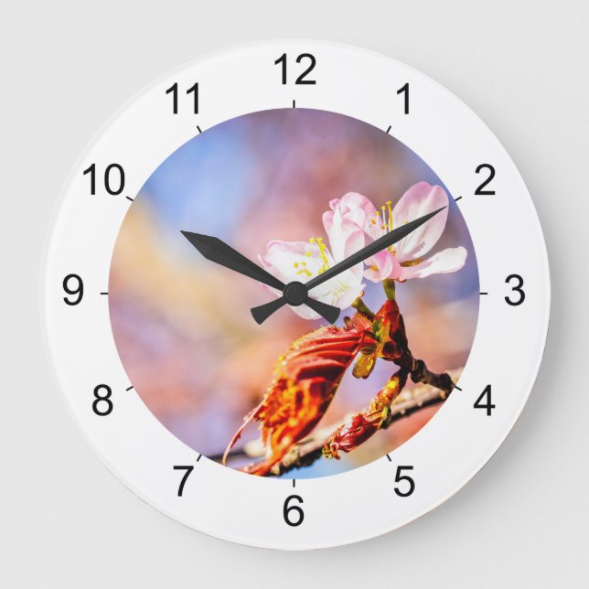 Two Amazing Sakura Flowers. Pink, Blue Background Large Clock (Front)