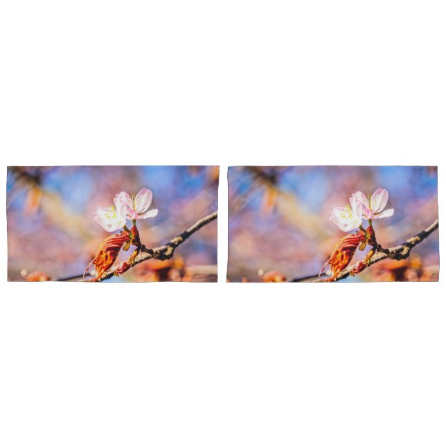 Two Amazing Sakura Flowers. Pink, Blue Background Pillowcase (Front-Set)