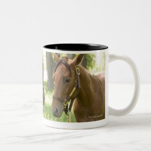 Two American Quarter horses standing in shade Two-Tone Coffee Mug