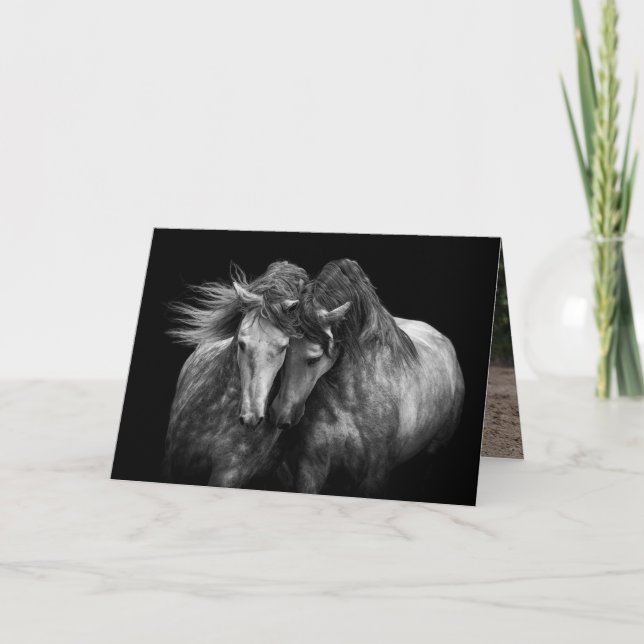 Two Andalusian Stallions - Horse Greeting Card (Front)