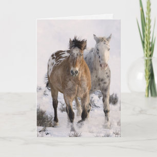 Two Appaloous Horse Greeting Card