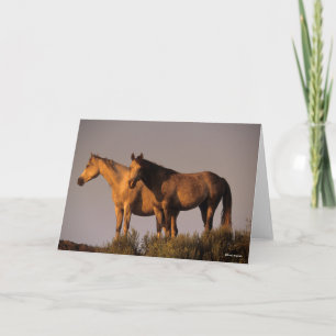 Two Arabs Standing Together Evening Light Card