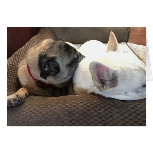 Two are better than one. (Front Horizontal)