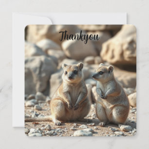 Two Aussie Rottnest IsLand Quokkas, Thank You Card