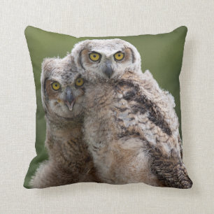 Two Baby Great Horned Owls Cushion