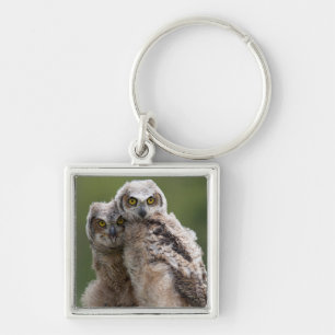 Two Baby Great Horned Owls Key Ring